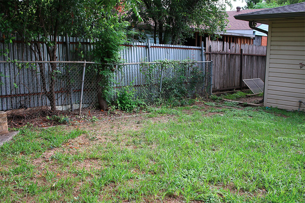 backyard garden before and after