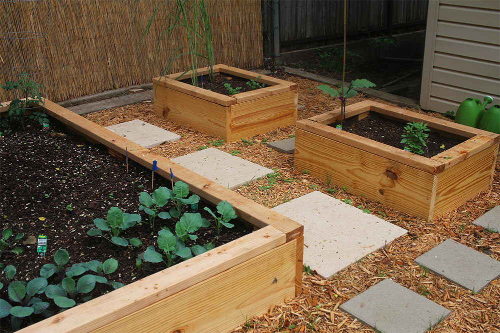 How to backyard garden