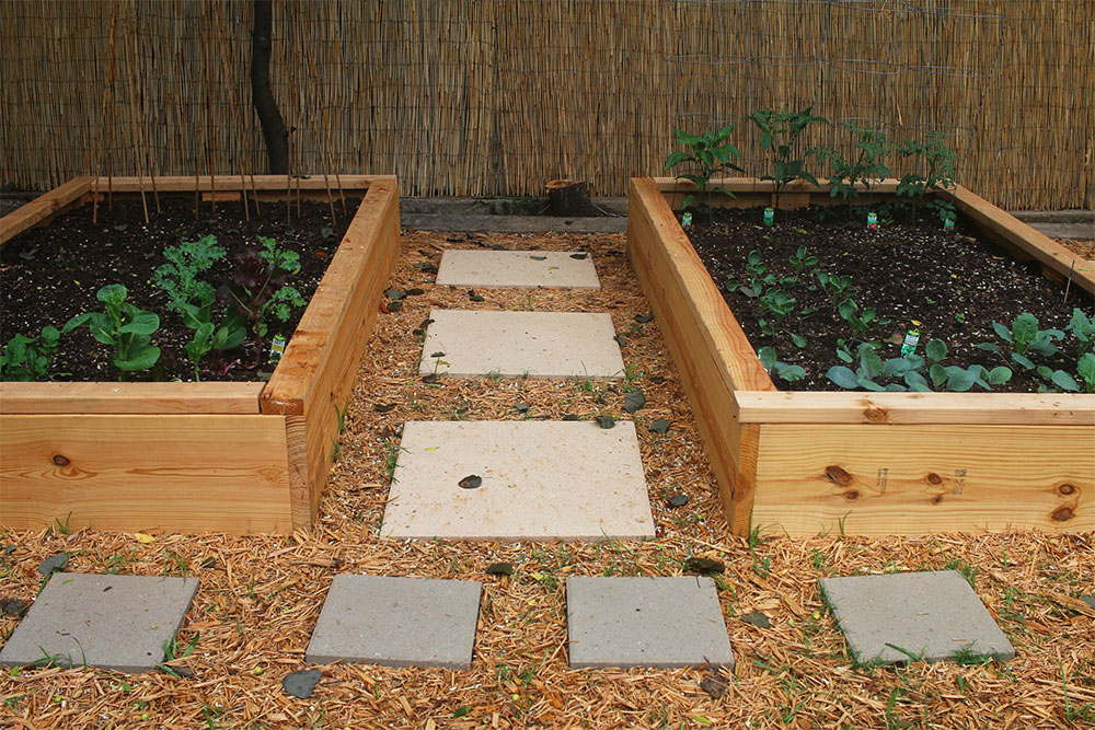 DIY vegetable garden