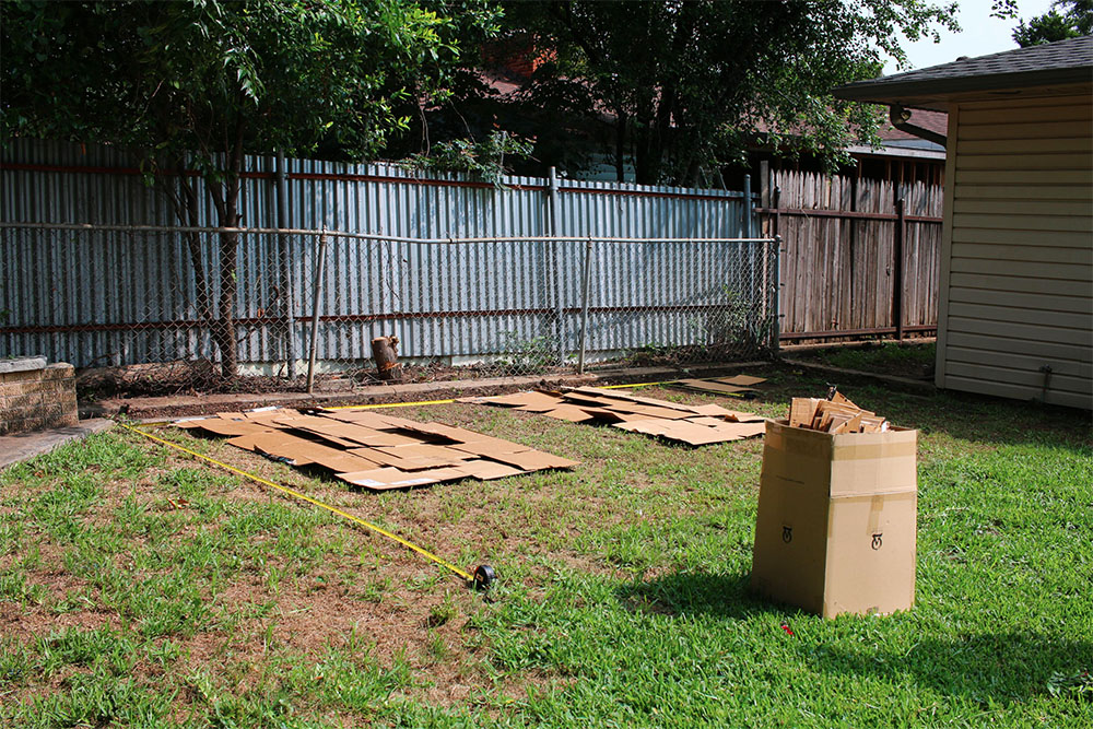 backyard garden cardboard