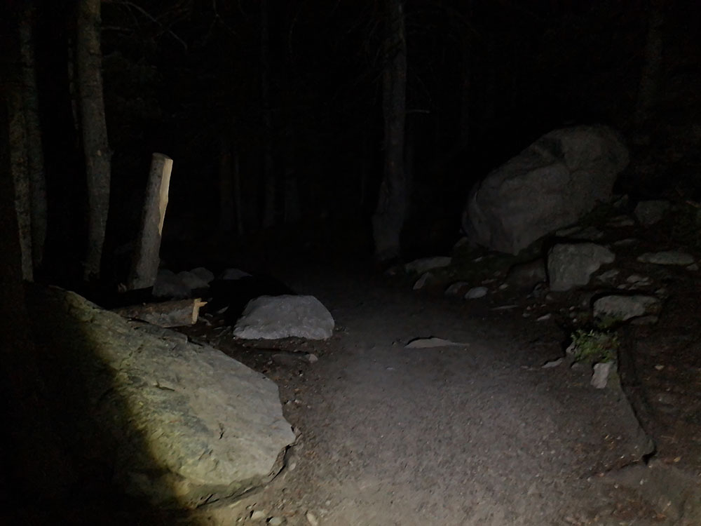 night hike