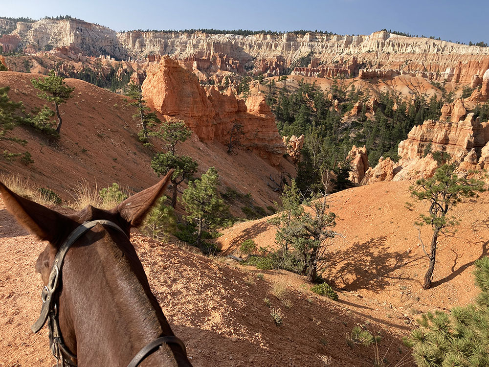 horseback riding bryce canyon
